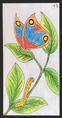 Le papillon - Carte n°13 de l'Oracle Gé