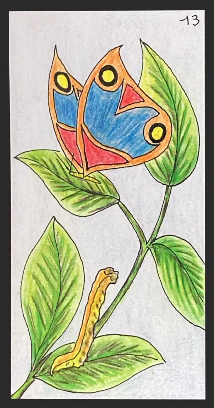 Le papillon - Carte n°13 de l'Oracle Gé