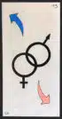 Les symboles sexuels - Carte n°15 de l'Oracle Gé