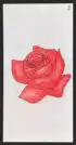 La rose - Carte n°2 de l'Oracle Gé
