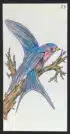 L'oiseau - Carte n°27 de l'Oracle Gé
