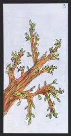 Le printemps - Carte n°3 de l'Oracle Gé