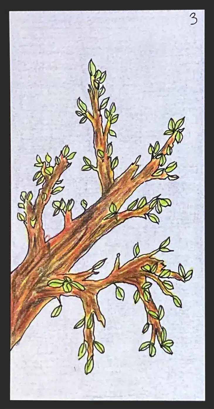 Le printemps - Carte n°3 de l'Oracle Gé