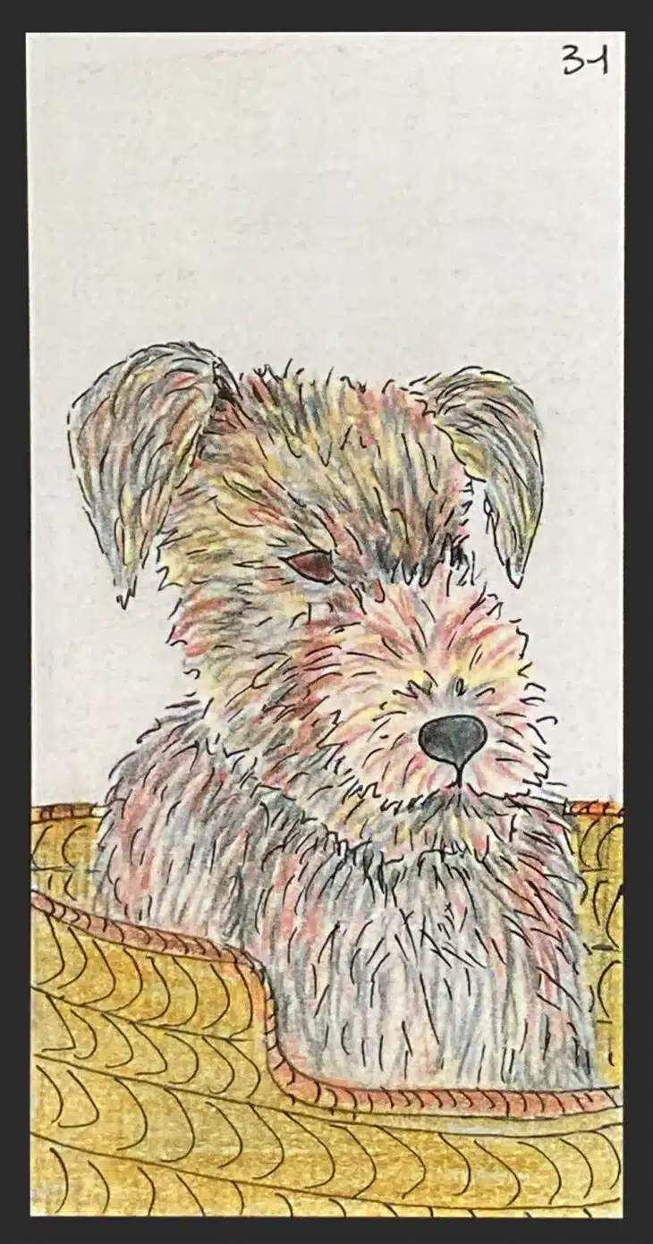 Le chien - Carte n°31 de l'Oracle Gé