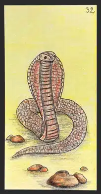 Le serpent - Carte n°32 de l'Oracle Gé