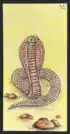 Le serpent - Carte n°32 de l'Oracle Gé