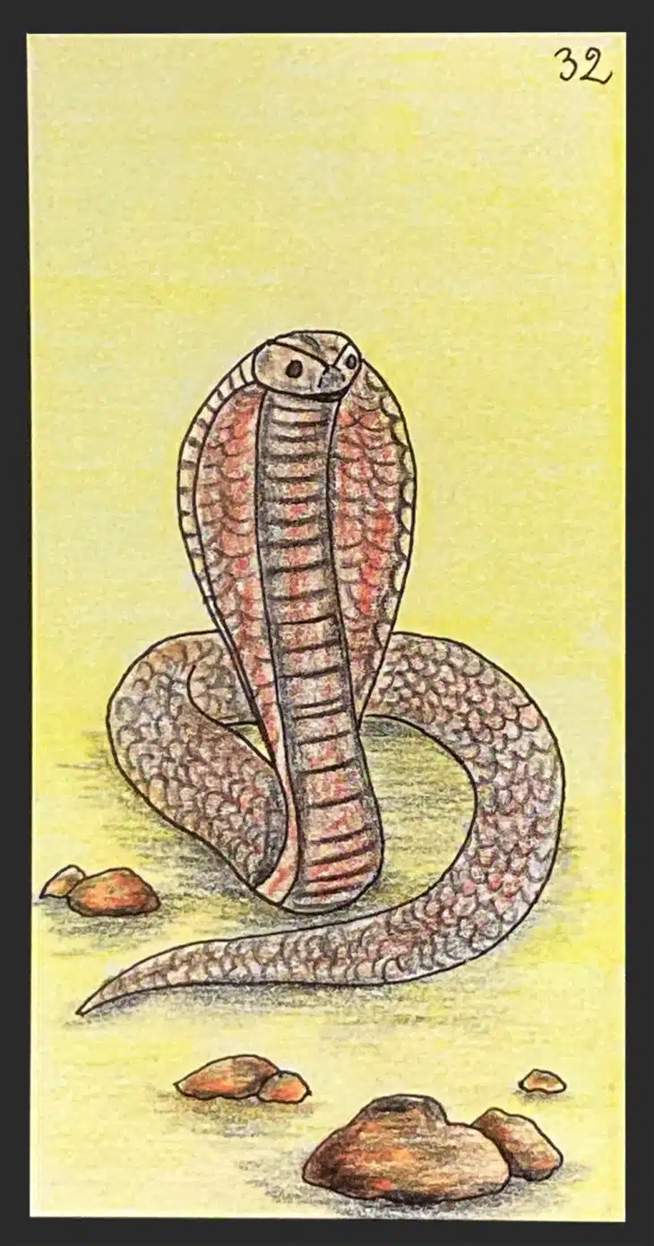 Le serpent - Carte n°32 de l'Oracle Gé