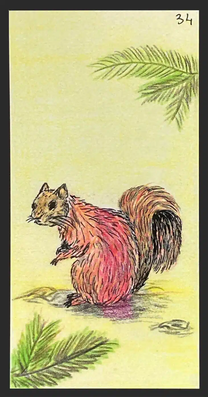 L'écureuil - Carte n°34 de l'Oracle Gé
