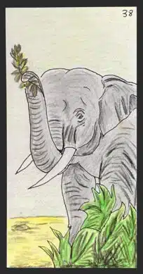 L'éléphant - Carte n°38 de l'Oracle Gé