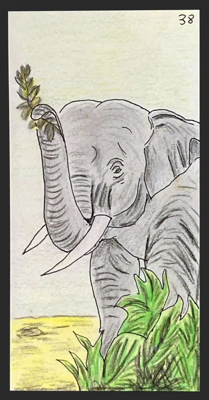 L'éléphant - Carte n°38 de l'Oracle Gé