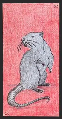 Le rat - Carte n°39 de l'Oracle Gé