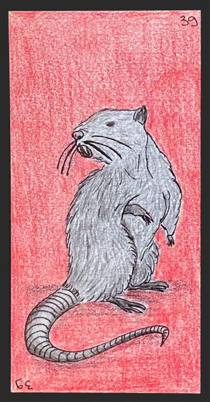 Le rat - Carte n°39 de l'Oracle Gé