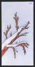 L'hiver - Carte n°41 de l'Oracle Gé