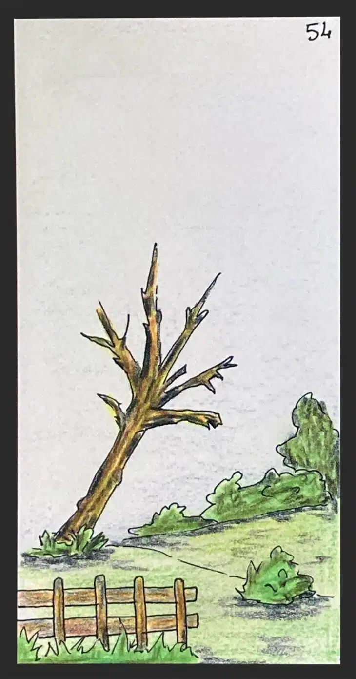 La campagne - Carte n°54 de l'Oracle Gé