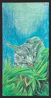 Le lynx - Carte n°57 de l'Oracle Gé