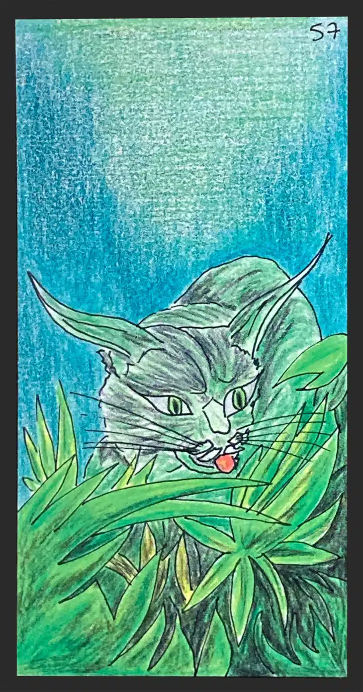 Le lynx - Carte n°57 de l'Oracle Gé