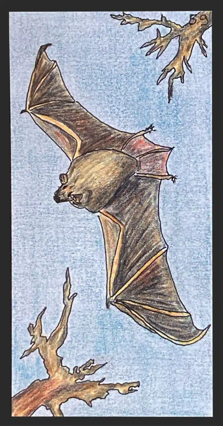 La chauve-souris - Carte n°59 de l'Oracle Gé